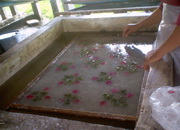 Flowered Paper&nbsp;